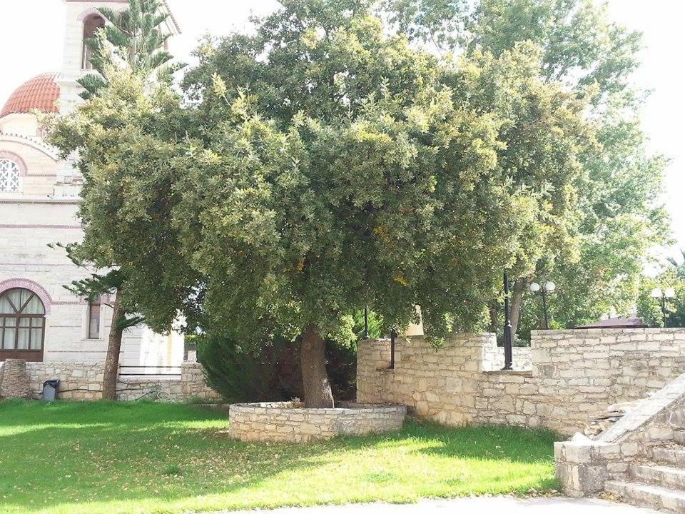 Villa Lale'S House Garazo Exterior foto